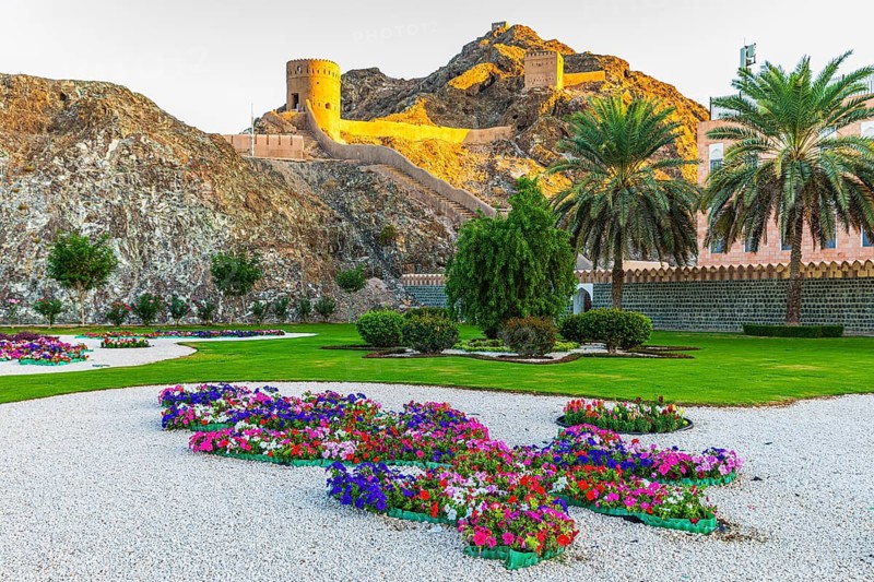 Park with gravel paths, flowers and palm trees at the Sultan's Palace, behind the city wall with watchtowers illuminated by the evening sun, Muscat, Arabian Peninsula, Sultanate of Oman