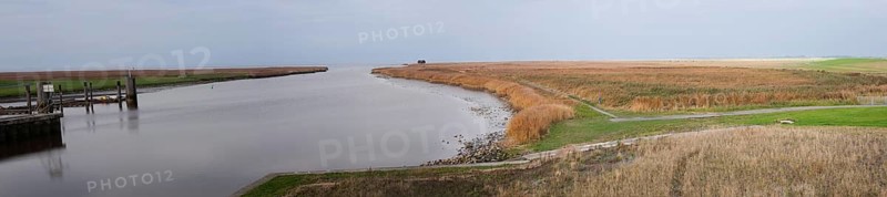 Panorama, mudflats, reeds, Nieuwe Statenzijl, Netherlands