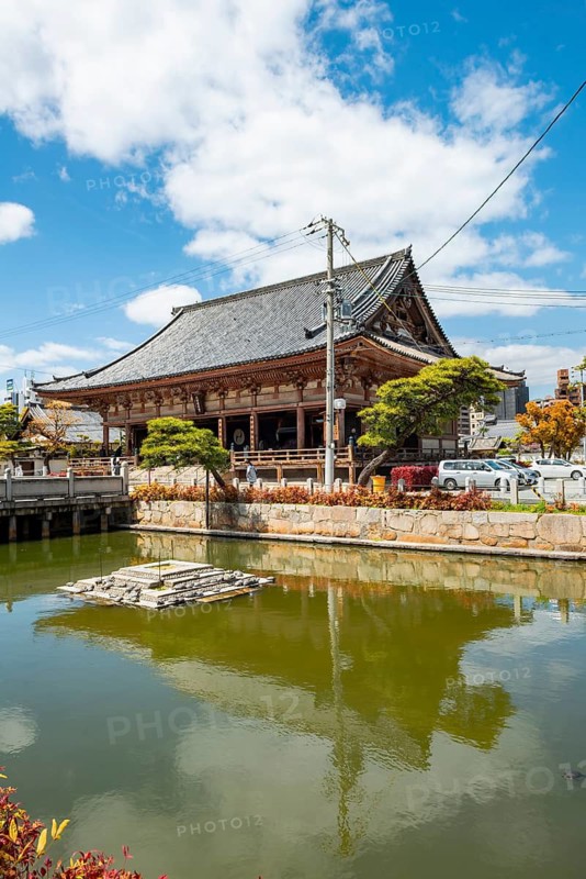 Turtle Pond, Shitennoji Temple, Buddhist Temple, Osaka, Japan