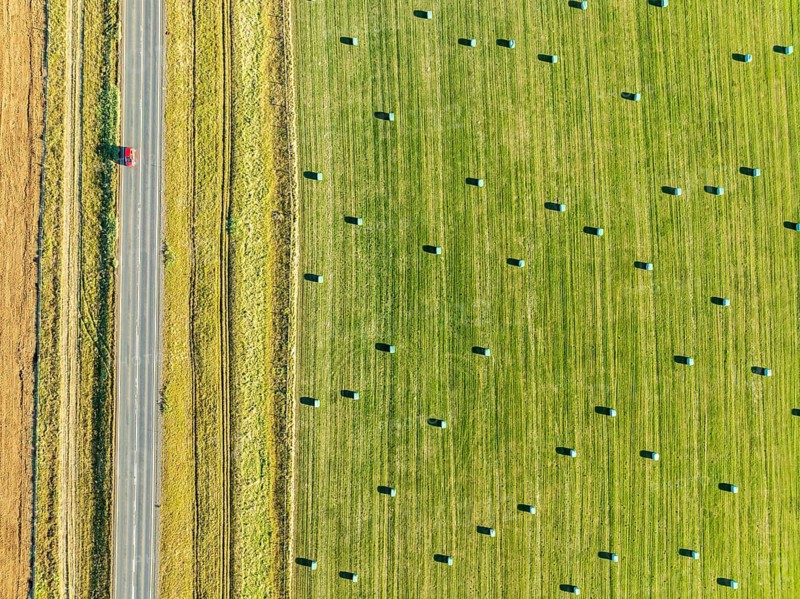 Meadow full of colored hay bales, aerial view, southern coast, Iceland