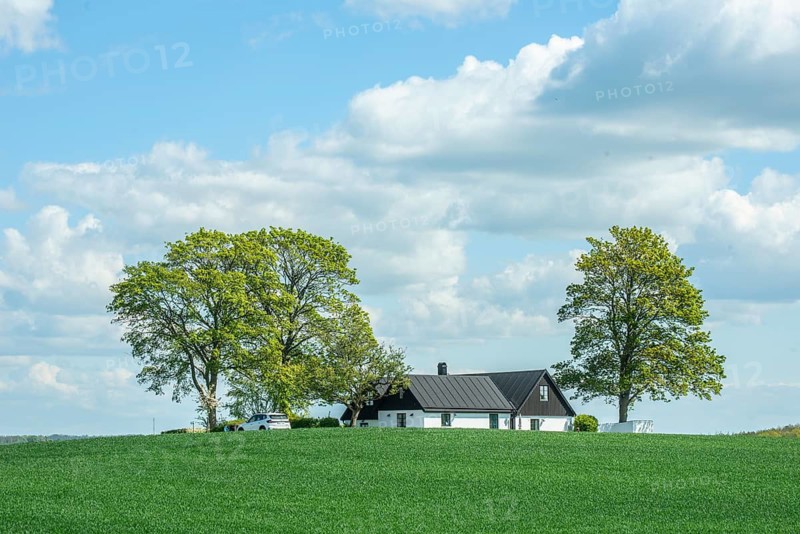 Farm in landscape with green crops in Vallösa, Ystad municipality, Skåne county, Sweden, Scandinavia