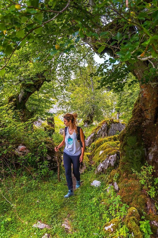 Mount Aizkorri 1523 meters, the highest in Guipuzcoa. Basque Country. Ascent through San Adrian and return through the Oltza fields. Mount Aizkorri forest nature