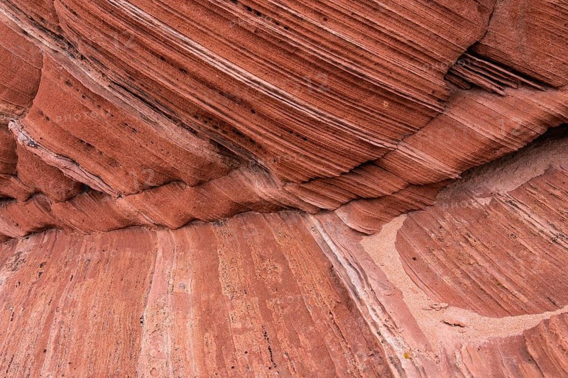 Close-up of a sandstone surface showcasing intricate layers and textures in warm earthy tones. The image captures natural geological formations with rich, detailed patterns