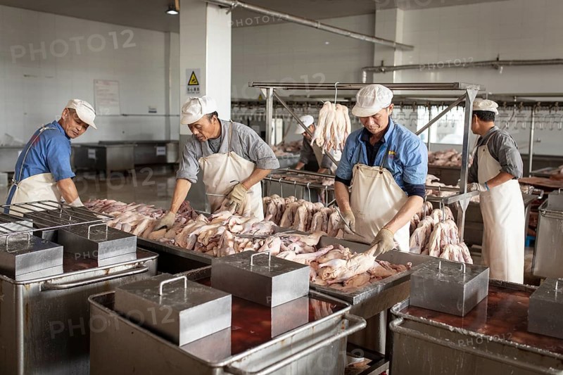 Production of salted ducks factory Nan Jing Ying Tao Yo Co. Ltd., for consumption in restaurants but also for sale as durable products as souvenirs, the frozen ducks come from the duck farms, are salted, brined, dried and scalded, Nanjing, China