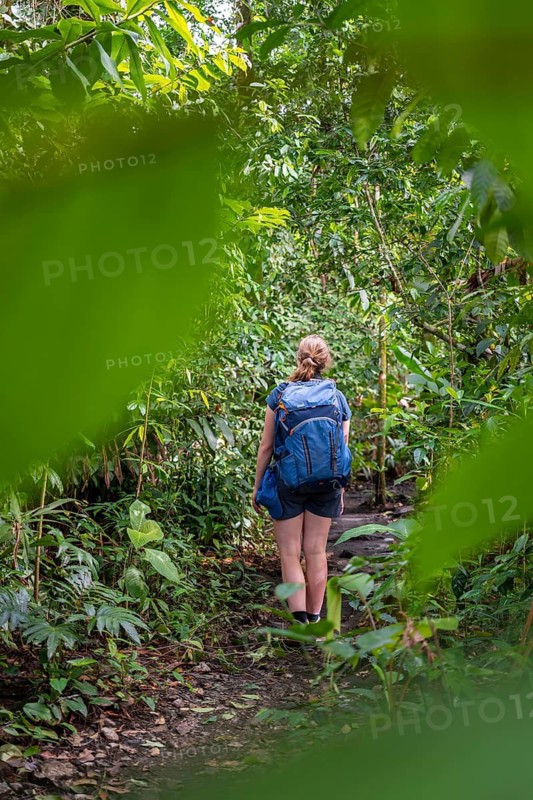 Tourist exploring rainforest, dense vegetation, Tortuguero National Park, Costa Rica
