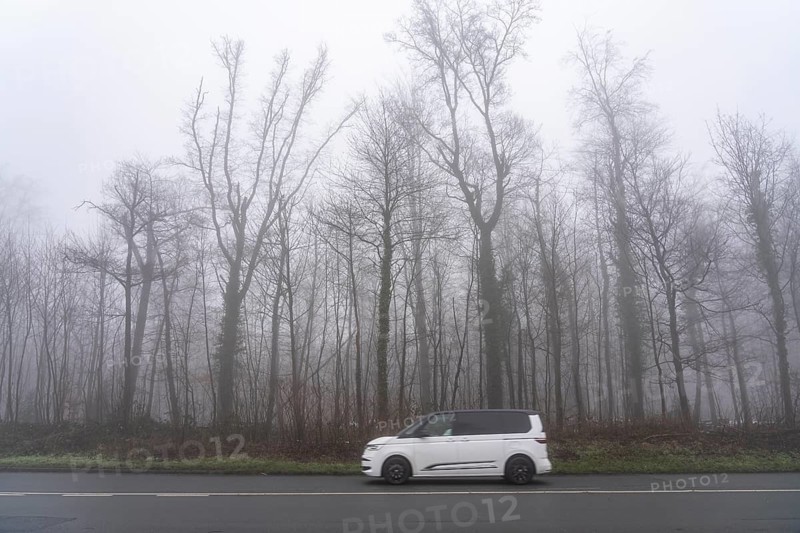 Dense fog, with visibility sometimes less than 100 metres, country road, Heisinger Straße, in Essen, North Rhine-Westphalia, Germany
