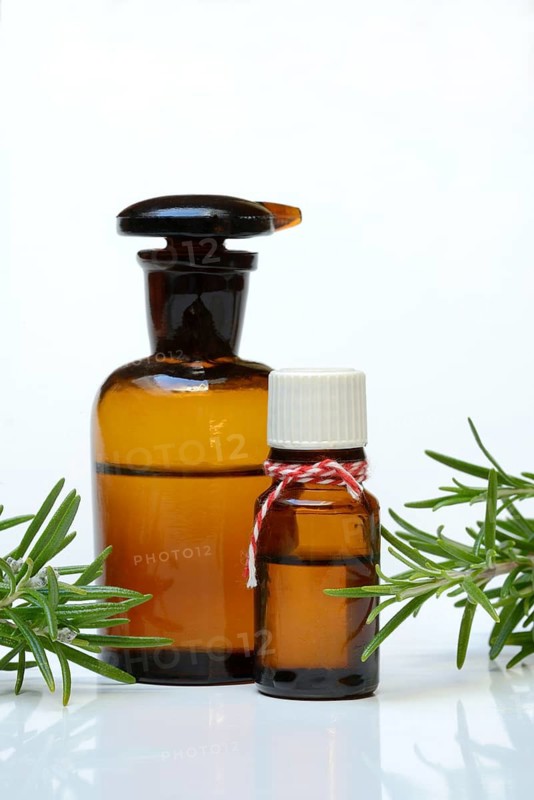 Bottled rosemary oil and rosemary sprig, medicinal plant
