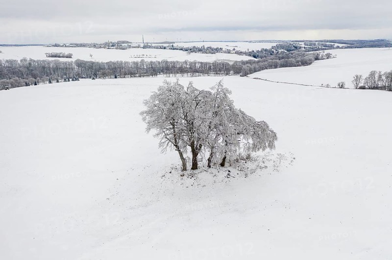 Aerial view of a snow-covered group of trees, in the background the Bobritzsch valley, Falkenberg and Halsbrücke, Saxony, Germany