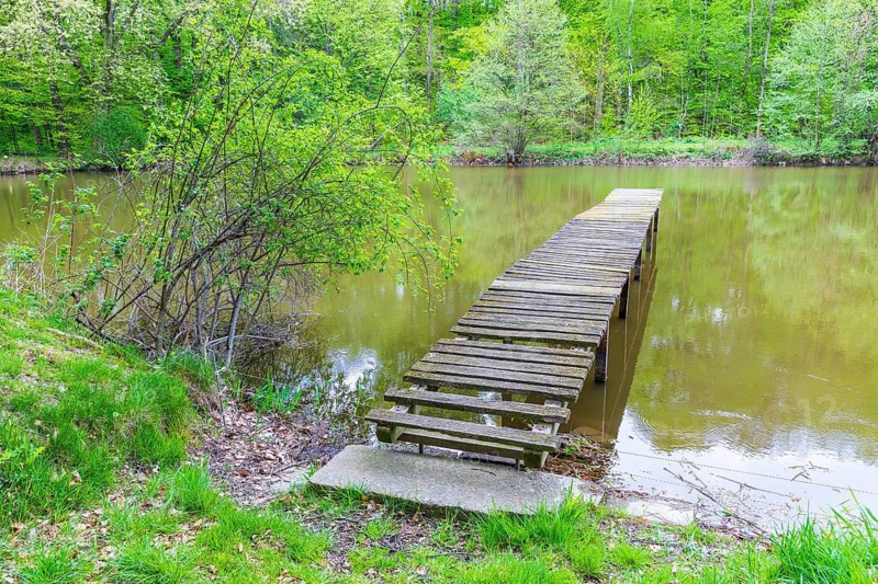 Old wooden footbridge leads into a small lake, Lausker Skala, Lauske, Weißenberg, Saxony, Germany