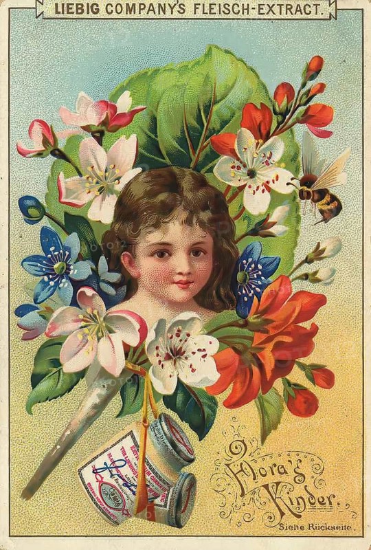 Picture series Flora's children, portrait of a child surrounded by blossoms and flowers, Liebig picture, digitally restored reproduction of a collector's picture from around 1900, public domain, exact date unknown, a girl surrounded by peach blossoms with a bee, in a nostalgic design