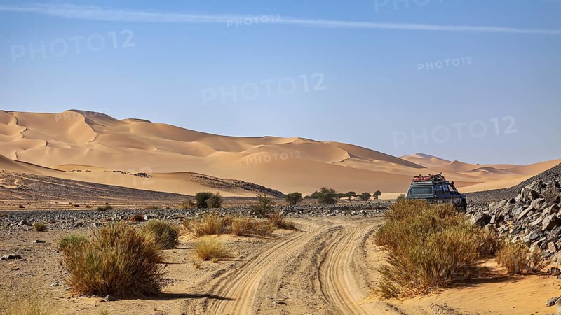 An off-road vehicle on a sandy road, surrounded by desert bushes and dunes, with an off-road vehicle through the endless landscape of the Sahara desert in Algeria