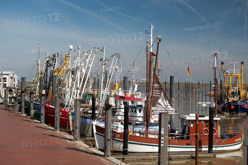 Fishing boat, harbour, Ditzum, East Frisia, Lower Saxony, Germany