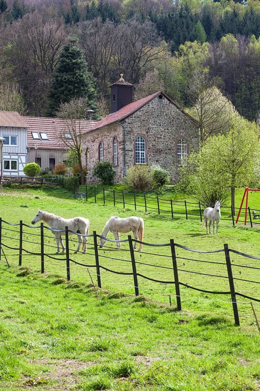 Waldensian church building, 18th century, village of Gewissenruh, Wesertal, Weserbergland, Hesse, Germany