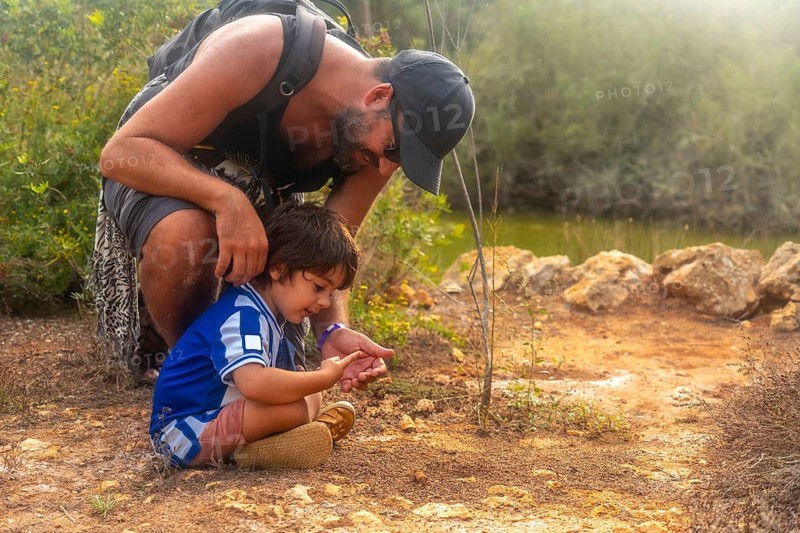 A man and a boy are looking at a tree. The boy is wearing a blue shirt and shorts