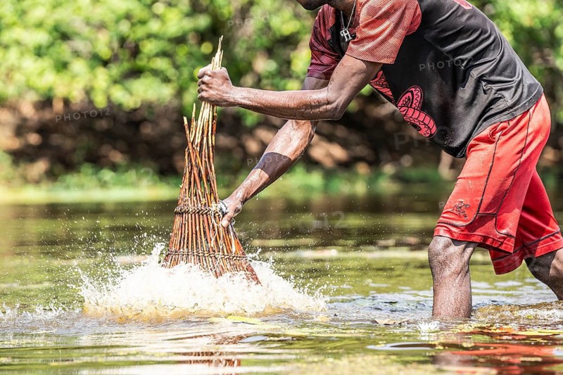Fisherman pushing his basket with force into the water to the ground for catching fish with his basket in the river. Kalabo, Zambia