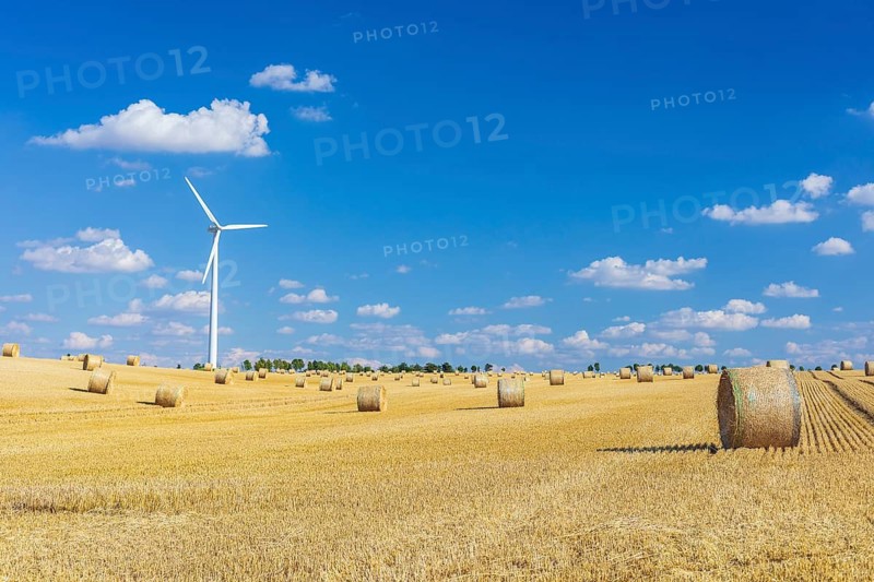 Straw bales on a harvested grain field, stubble field, in the background a wind turbine, Nossen, Saxony, Germany