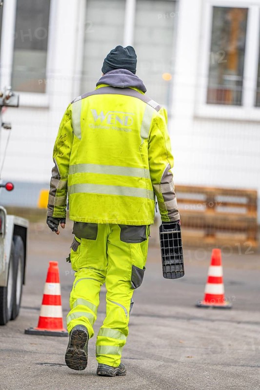 Rear view of a worker in warning clothing on a road with traffic cones, Wend Glasfasermontage during the installation of conduits for fibre optic cables, Meßkirch, district of Sigmaringen, Germany