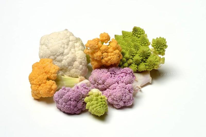 Colored cauliflower, Brassica oleracea var. botrytis