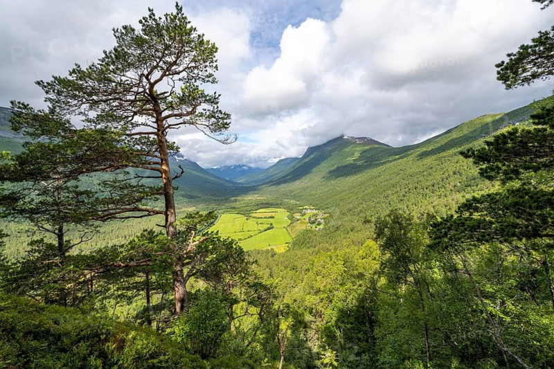 View of the valley, landscape in the Innerdalen high valley, Sunndal, Møre og Romsdal, Vestlandet, Norway