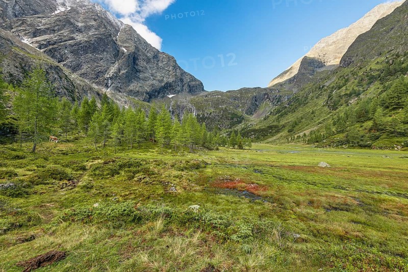 Gradenmoos in Gradental, Schober Group, Hohe Tauern National Park, Putschall, Spittal an der Drau, Carinthia