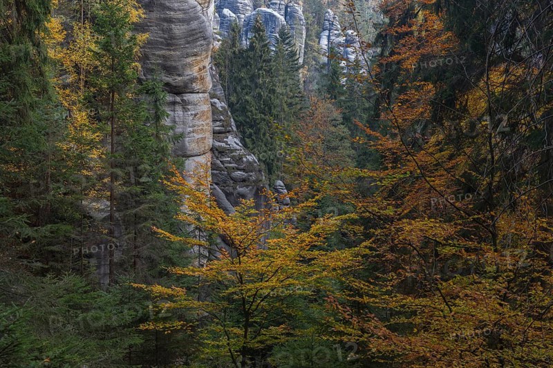 Autumnal forest at Adršpach-Teplice Rocks on a sunny day in autumn, Dolní Adršpach, 549 57 Adersbach, CZ