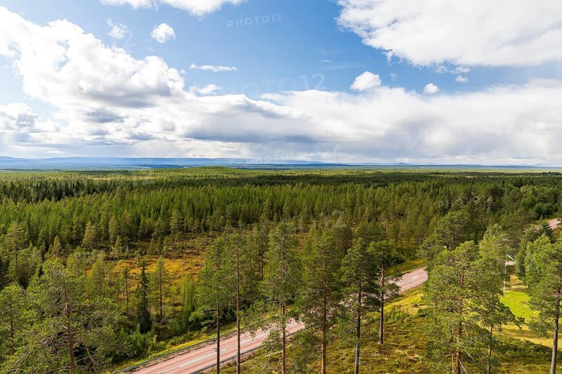 View from Bunkris Brandtorn fire watch tower over vast forests, Bunkris near Älvdalen, Dalarnas län, Sweden