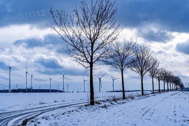 Wind farm, north of Lichtenau, self-proclaimed energy town, over 190 wind turbines and over 1200 solar panels generate 10 times as much electricity as the community of 11, 900 inhabitants consumes, largest onshore cluster of wind turbines in Germany, winter, slightly snow-covered landscape, North Rhine-Westphalia, Germany