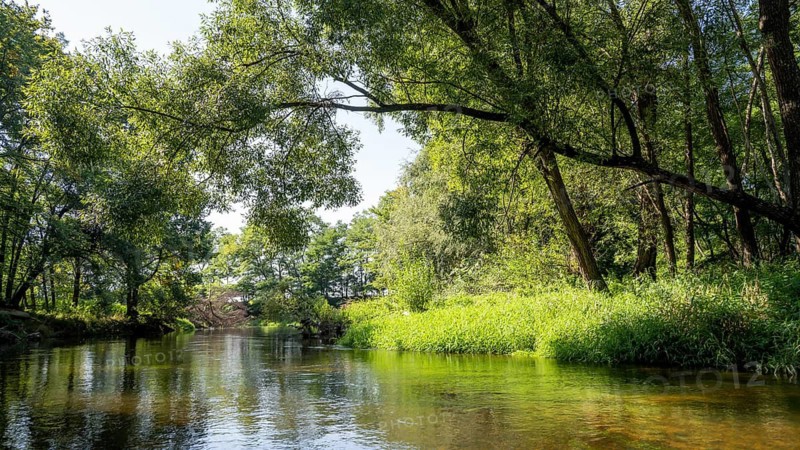 River landscape of the Thaya in late summer, Czech Republic