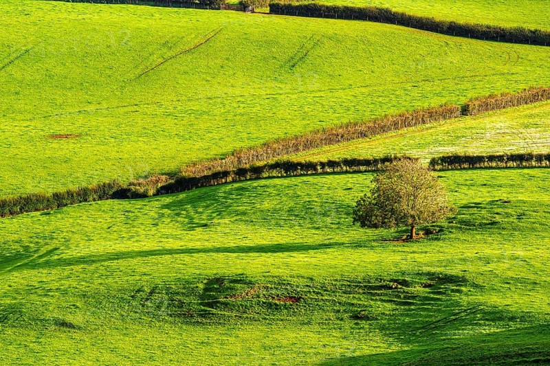 Colours of Devon Farms and Fields over Paignton and Berry Pomeroy, Totnes, England, United Kingdom