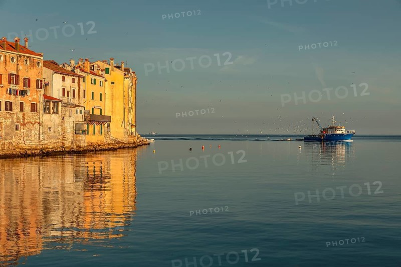 Fishing boat arriving at the old town centre, Rovinj, Istria, Croatia