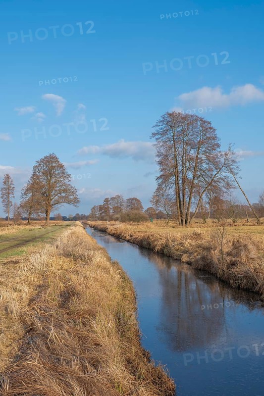 View of the vegetation along the Fangegraben at the Steinhuder Meer, ditch, trees, landscape photo, nature photo, flora, fauna, portrait format, willow, grasses, lowland, sky, clouds, cycle path, Hagenburg, Steinhude, Hanover region, Lower Saxony, Germany