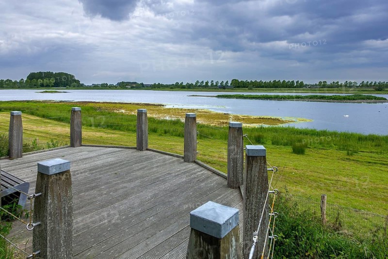 Sophia Polder, Sophiapolder, nature reserve and refuge for water birds near Oostburg, Zeeland, Netherlands