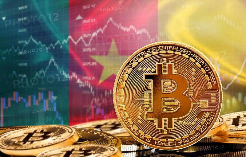 Investors in cryptocurrency and Blockchain Technology in Cameroon, Concept. Bitcoin with Cameroonian flag in the background