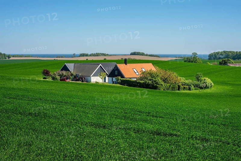 Landscape with Farm and green crops in Sjörup, Ystad Municipality, Skåne County, Sweden, Scandinavia