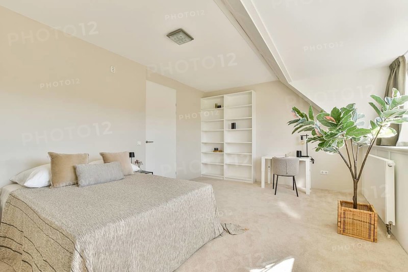 Bright, minimalist bedroom featuring a cozy bed with neutral tones, a white bookshelf, and a stylish desk. A large green plant adds a touch of nature to the serene space