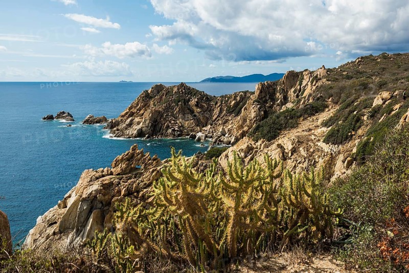 Coastal landscape with cacti and rocks, Capo Ferrato, Muravera, Province of Cagliari, Sardinia, Italy