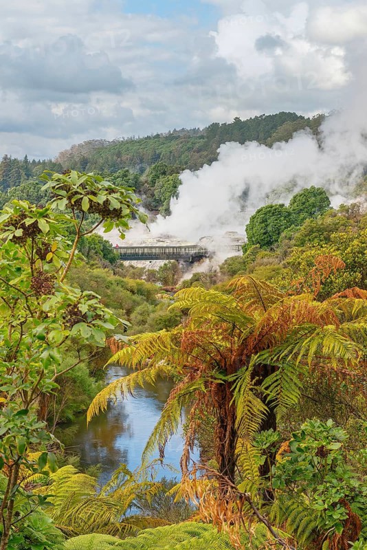 Geysers erupting, Te Puia Thermal Valley, Rotorua, Bay of Plenty, North Island, New Zealand
