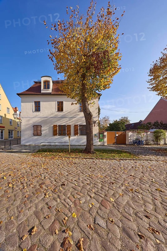 Autumnal tree, cobblestone street, residential building, blue cloudless sky, Lindenstraße, Mühlberg Elbe, Elbe-Elster district, Brandenburg, Germany