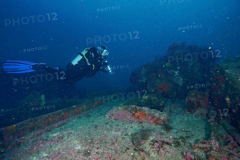 Diver over a shipwreck, Le Donator wreck dive site, Giens Peninsula, Mediterranean Sea, Porquerolles, Provence, Côte d'Azur, France