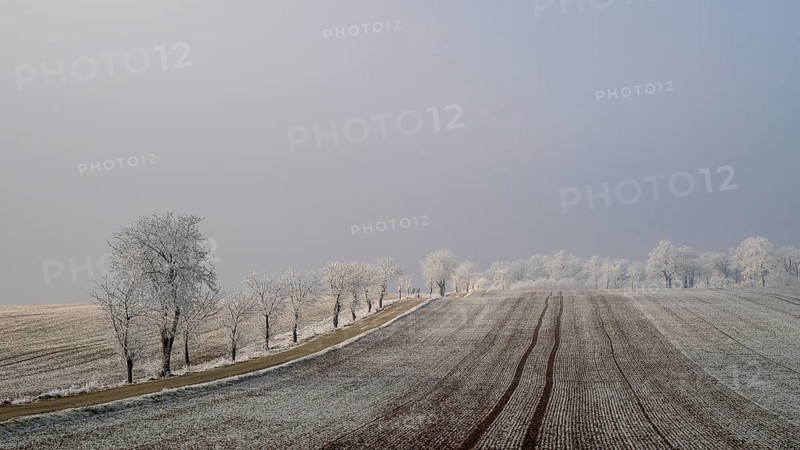 Winter landscape with hoarfrost, Weinviertel near Hadres, Lower Austria, Austria