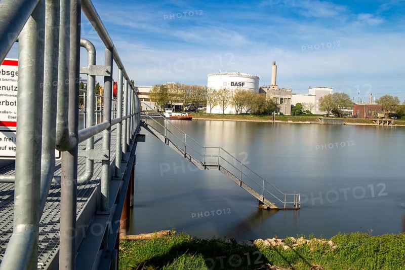11 April 2024: View of BASF in Ludwigshafen with the Rhine in the foreground