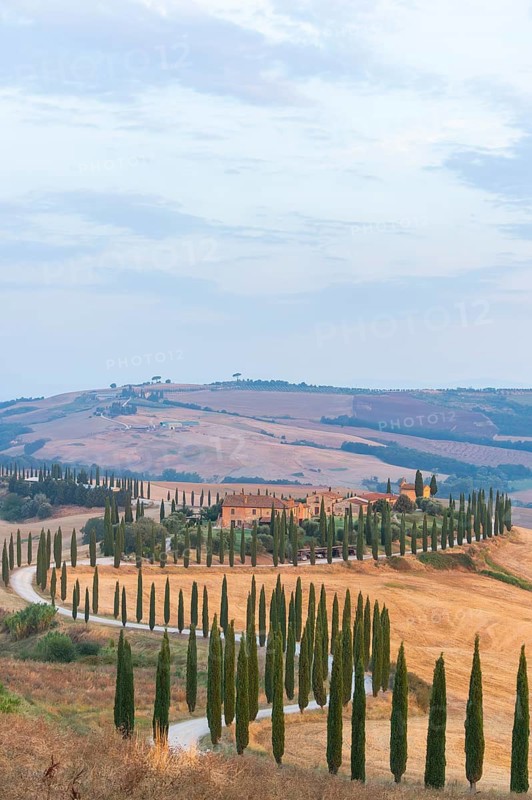 Typical Tuscan landscape in Crete Senesi with hills, trees, fields, cypresses and farm road in autumn, sunrise, Agriturismo Baccoleno, UNESCO World Heritage Site, Siena Province, Tuscany, Italy