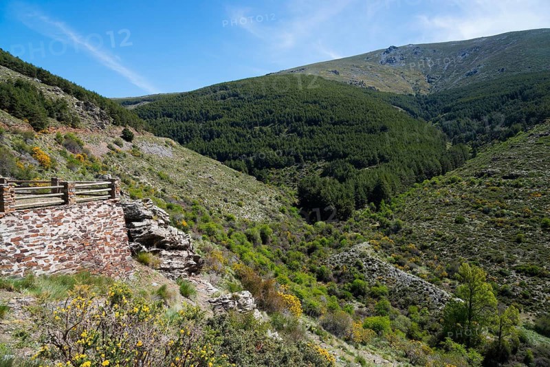 Green valley with densely wooded hills, sunny day and clear views of the unspoilt landscape, Mirador sobre el Palancón, Palancon, A-337, Province of Almería, Almeria, Andalusia, Spain