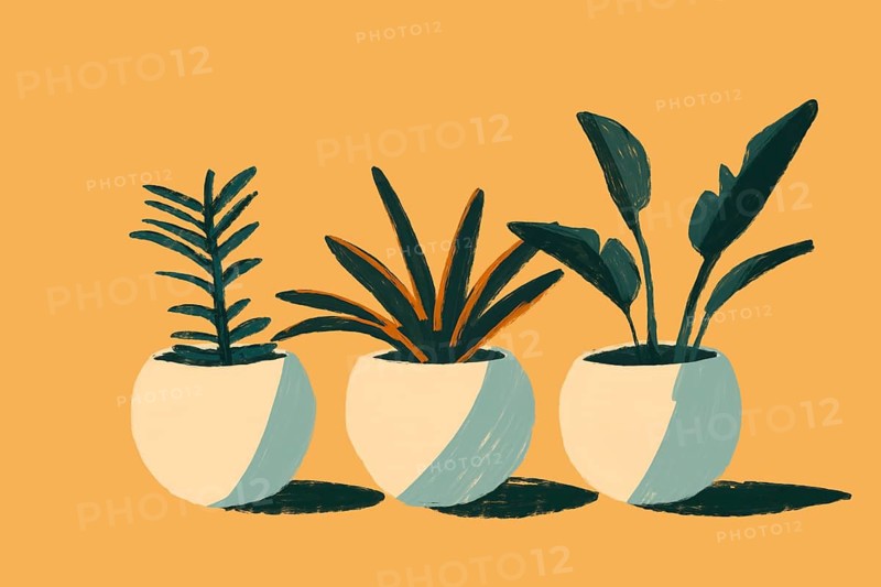 A charming set of three minimalistic illustrations featuring summer plants in stylish, round pots against a warm background