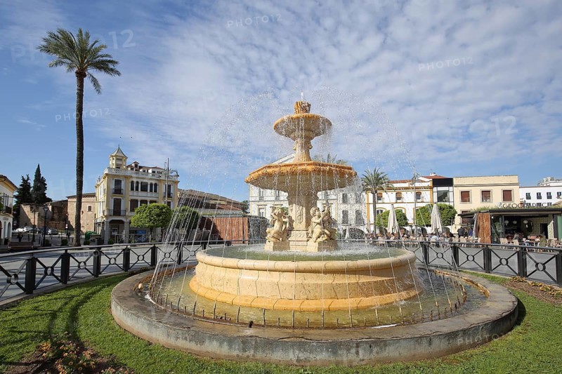 Bowl fountain with stone sculptures and water features, Plaza de Espana, palm tree, Merida, Extremadura, Spain