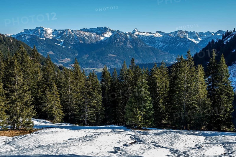 View from the high-altitude hiking trail from Bolsterlanger Horn to Riedberger Horn, snow-capped mountains of the Allgäu Alps, Bolsterlang, Oberstdorf, Oberallgäu, Allgäu, Bavaria, Germany