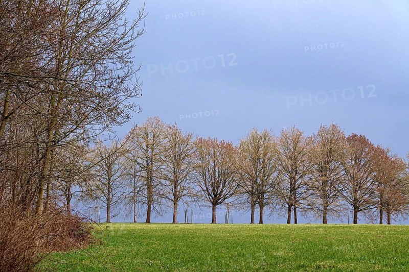 Alley and approaching weather front, spring, Germany
