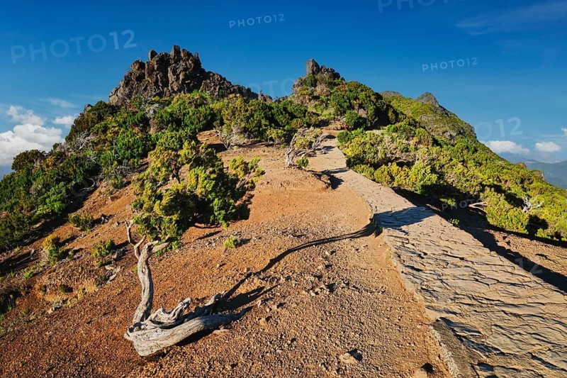 View from hike trail path to Pico Ruivo, Madeira