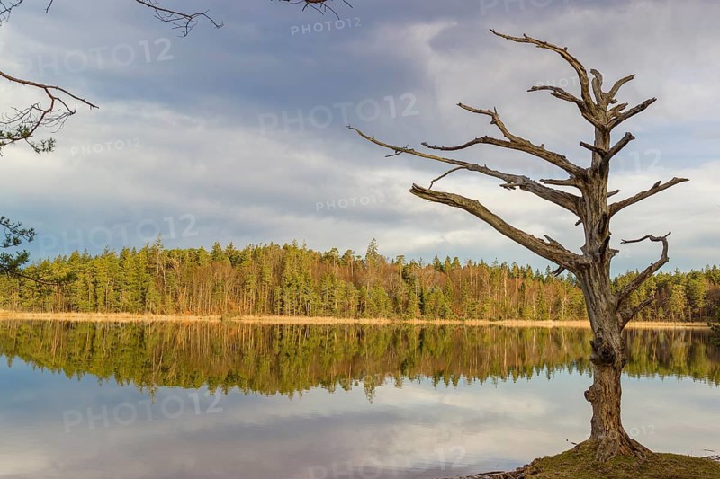 Lake Fohnsee of the Ostersee-group in early morning light