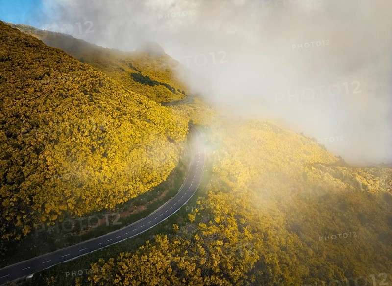 Aerial view of road among yellow Cytisus blooming shrubs near Pico do Arieiro, Portugal in clouds
